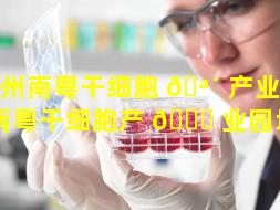 广州南粤干细胞 🪴 产业（广州南粤干细胞产 🐕 业园地址）